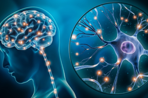  Best Myasthenia Gravis Treatment in Thane: Effective Solutions for Muscle Weakness