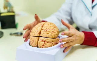 Can High Blood Pressure Cause Brain Stroke?