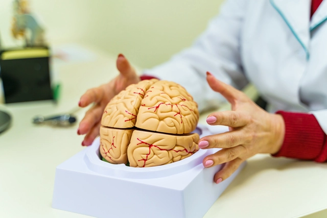 Can High Blood Pressure Cause Brain Stroke?
